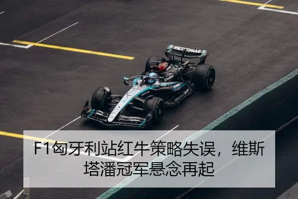 xiong-ya-li-zhan-hong-niu-ce-lve-shi-wu-wei-si-ta-pan-guan-jun-xuan-nian-zai-qi-3-258.jpg