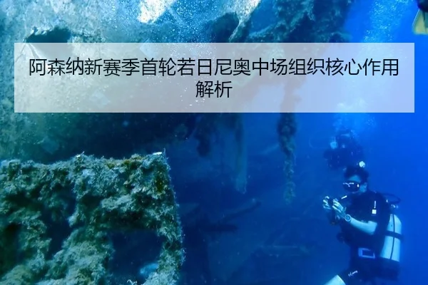 阿森纳新赛季首轮若日尼奥中场组织核心作用解析